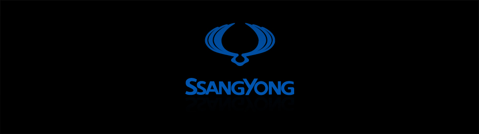 SsangYong  chiptuning, reprogrammation, optimisation, préparation moteur individuelle, banc de puissance, dyno